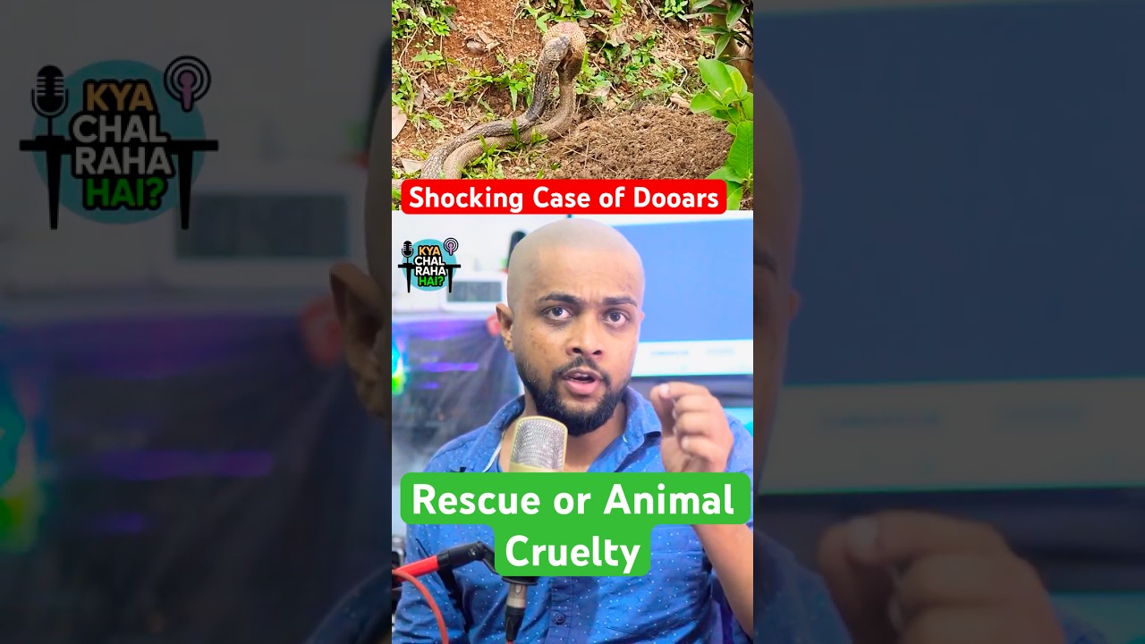 Rescue or animal cruelty ! Snakes Brutally Rescued?! | Dooars Shocking Case  