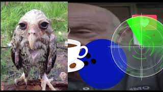 Matt spriggs eats a dlongleshlarp