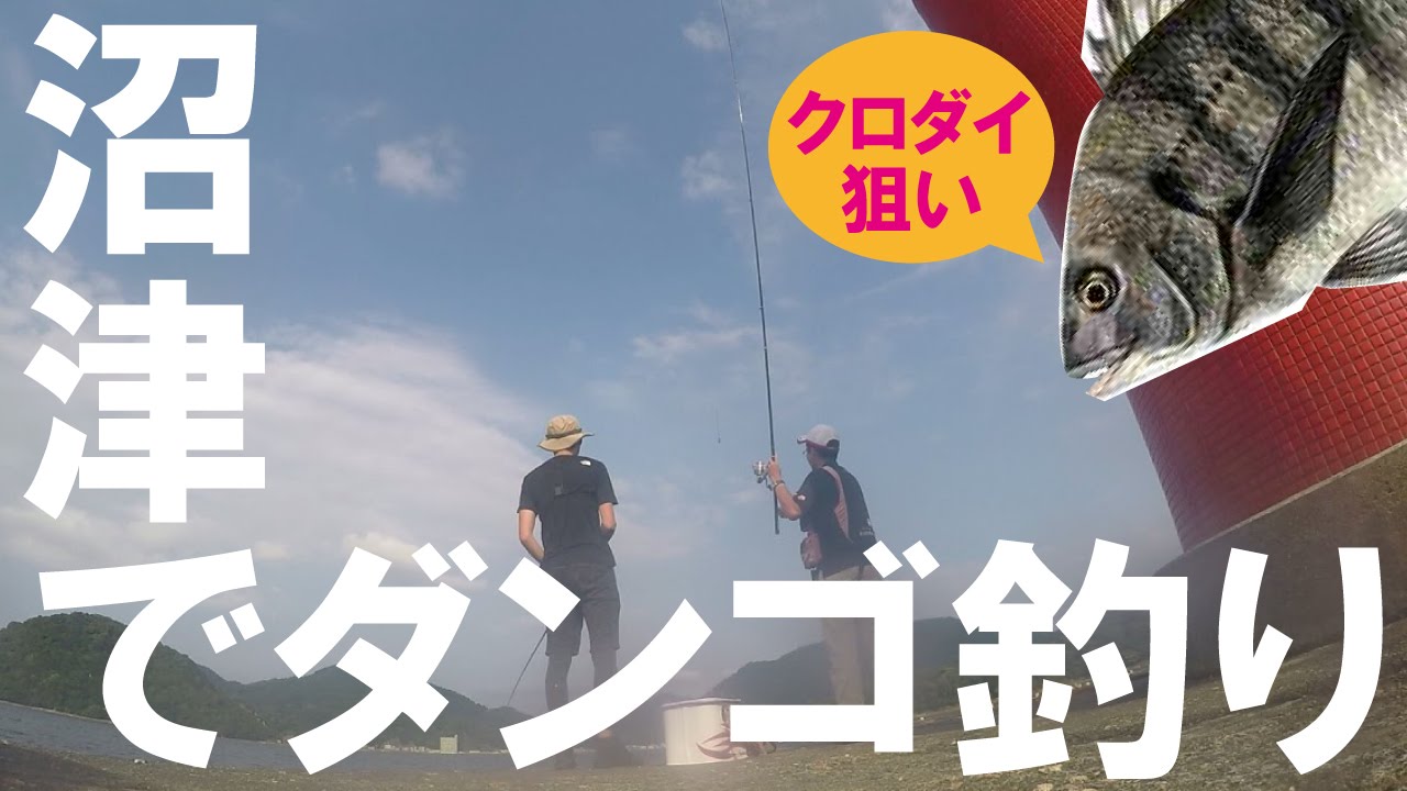 青春18きっぷで 静岡県沼津の木負堤防ダンゴ釣り 釣果編 さいたまからきました 海釣り バス釣りブログ