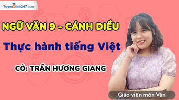 Thực hành tiếng Việt: Cách dẫn trực tiếp, cách dẫn gián tiếp | Ngữ Văn 9 (CD) | GV: Trần Hương Giang