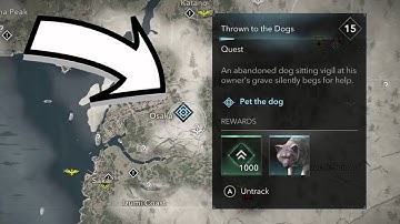 Locatie van de Assassin