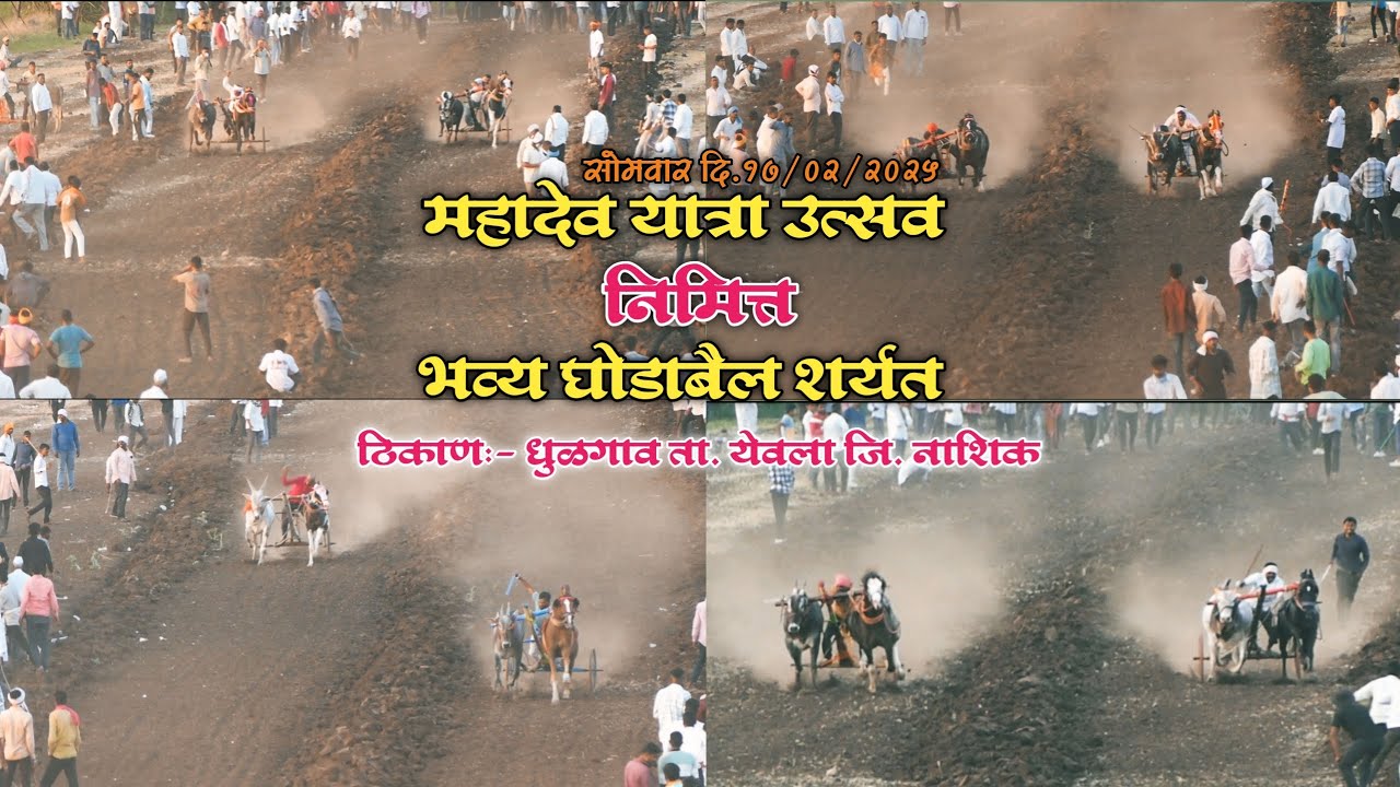 महादेव यात्रा उत्सव निमित्त भव्य घोडा बैल शर्यत सोमवार दि.17/02/2025 ठिकाणः धुळगाव ता.येवला जि.नाशिक