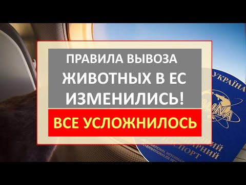 ВАЖНО!! ИЗМЕНИЛИСЬ ПРАВИЛА вывоза ЖИВОТНЫХ из Украины в ЕС. Какие документы нужны для вывоза питомца