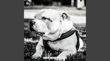 Pulsating Ambience for Resting Pups