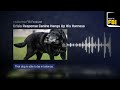 Inside the FBI Podcast: Crisis Response Canine Hangs Up His Harness