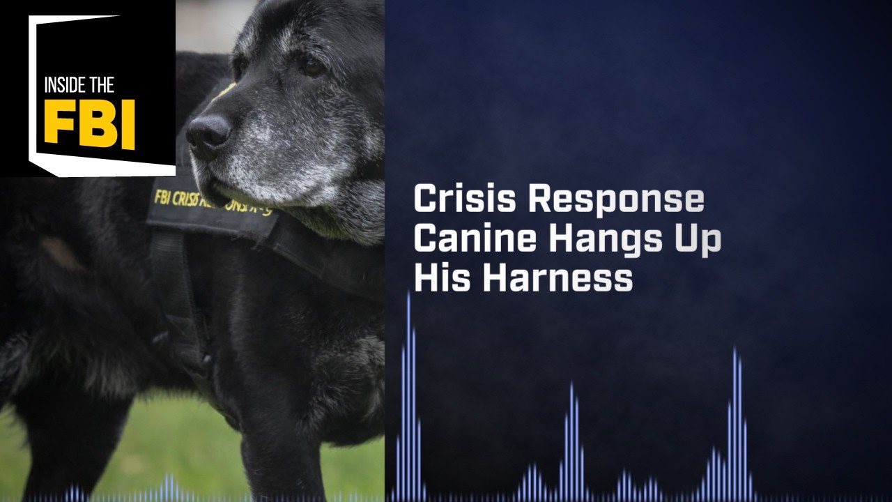 Inside the FBI Podcast: Crisis Response Canine Hangs Up His Harness