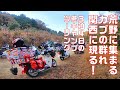 【CUBRIDER】スーパーカブで行く関西角目連合キャンプミーティングへの道３泊４日の足跡全記録！恥ずかしげもなくすべてをさらけ出すｗ見たらダメなやつ