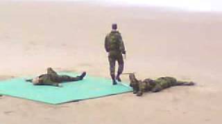 Royal Marines unarmed combat display team