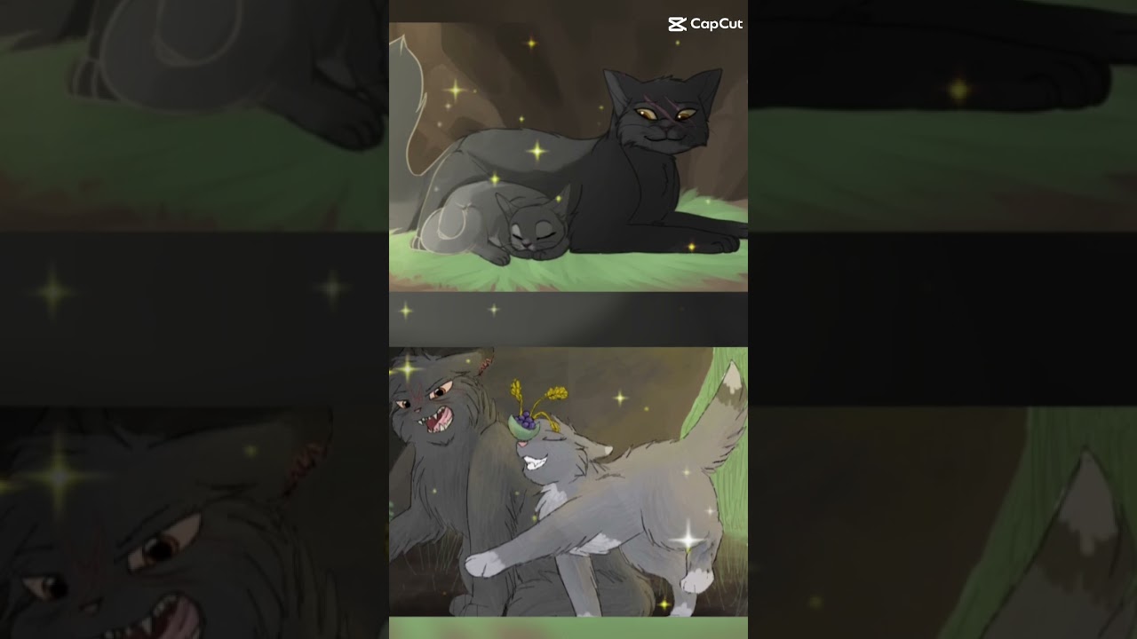 #Warriorcats