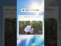 狩野英孝、イッテQ出たら絶対おもろい #shorts #イッテq #おすすめ
