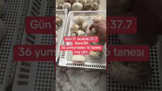 Ün11 Kontrol Yaptım Maalesef 16 Boş Çık