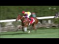 2019/20 (281) - Magnificent (盛大光輝) - 潘頓