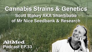 Cannabis Strains & Genetics: Scott Blakey AKA Shantibaba of Mr Nice Seedbank (Altmed Podcast Ep.33)