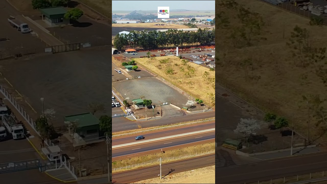 SERTÃOZINHO-SP #shorts