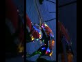 Beauty of still frames from River of Light 2024