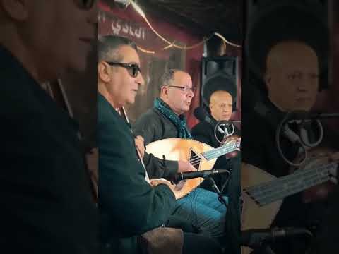 الشعبي الجزائري المعاصر ولفي روزا الشيخ ناصر مرزوق 