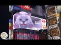 [Japon Découverte] Tokyo, JR Shinjuku Station East Exit : 3D Cat Billboard