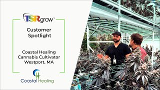 Coastal Healing, Customer Spotlight, TG-1000HVR Vertical LED Lights with Remote Power | TSRgrow