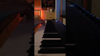 The Cat Empire - Sparrow Keyboard Solo