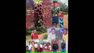 Download Lagu Musik original, nostalgia Tahu tempe MP3