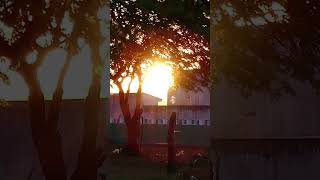 26 De Outubro De 2025