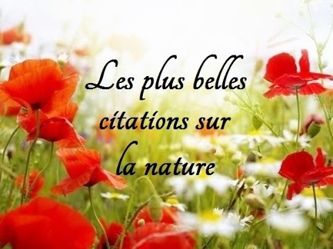 Les plus belles citations sur la nature