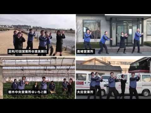 恋するフォーチュンクッキー 日東エネルギーグループ STAFFver