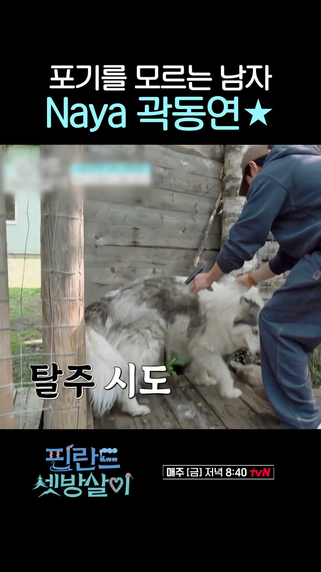 허스키와 대화 가능한(?) 집착남 is 나, 곽동연ㅋㅋㅋ #핀란드셋방살이