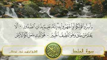 سورة الملك تلاوة ماشاء الله تبارك الله القارئ ابرهيم شرف ابو طالب #تلاوة_خاشعة #سورة #قران_كريم