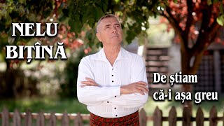 Nelu Bitina si Orchestra Lautarii de la Chisinau - De stiam ca-i asa greu  (official video) NOU