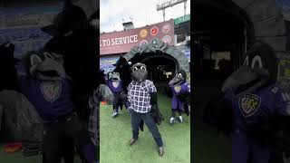 Poe's walkout! Register for presale at stilltheproblem.com #morganwallen #ravens #mascots