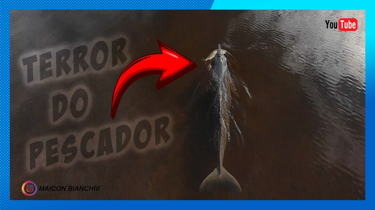 PERDI O PEIXE PRO BOTO! A natureza é incrível, mas confesso que esse 