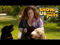 Broadway star marissa jaret winokur adorable therapy dogs   show us your pets