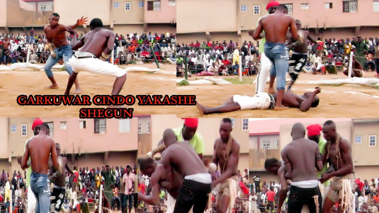 Best of Garkuwar cindo kashe kashen Garkuwa sarkin yan DAMBE kashi Na Daya