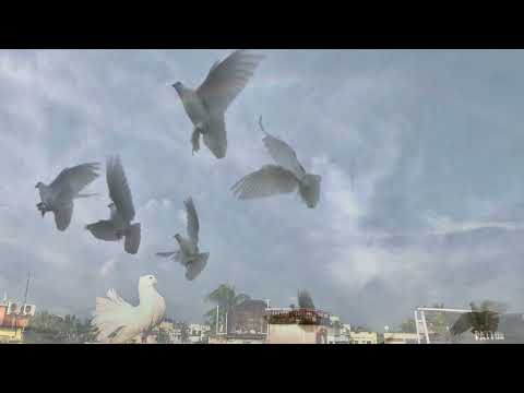 Coldplay - O (Fly On) - Extended | A Goodbye note to a special part of my life