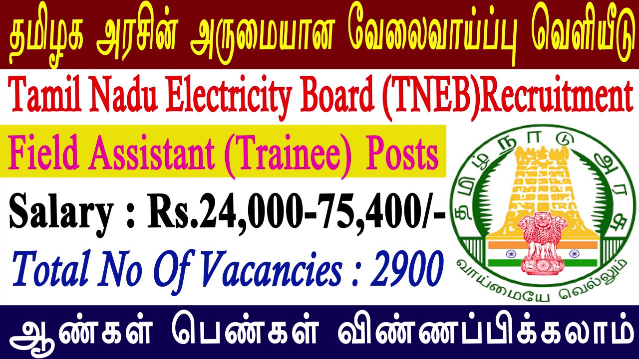 Tamil Nadu government jobs for fresher | Tamilnadu TANGEDCO Recruitments in Tamil | TN Govt Job|TNEB