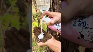 Survival Skills SIMPLE and USEFUL save SOAP &amp; Water in Smells #camping #outdoors #survival#skills