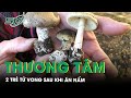 Thương Tâm 7 Bà Cháu Ngộ Độc Do Ăn Nấm Rừng, 2 Cháu Nhỏ Tử Vong | SKĐS