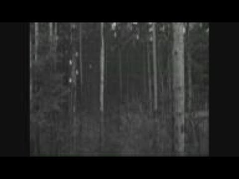 PASTERNAK PARTIAL SOUND