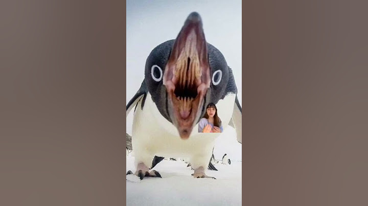 Boa de animais que vai te deixar aterrorizado