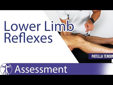 Lower Limb Deep Tendon Reflexes | Peripheral Neurological Examination