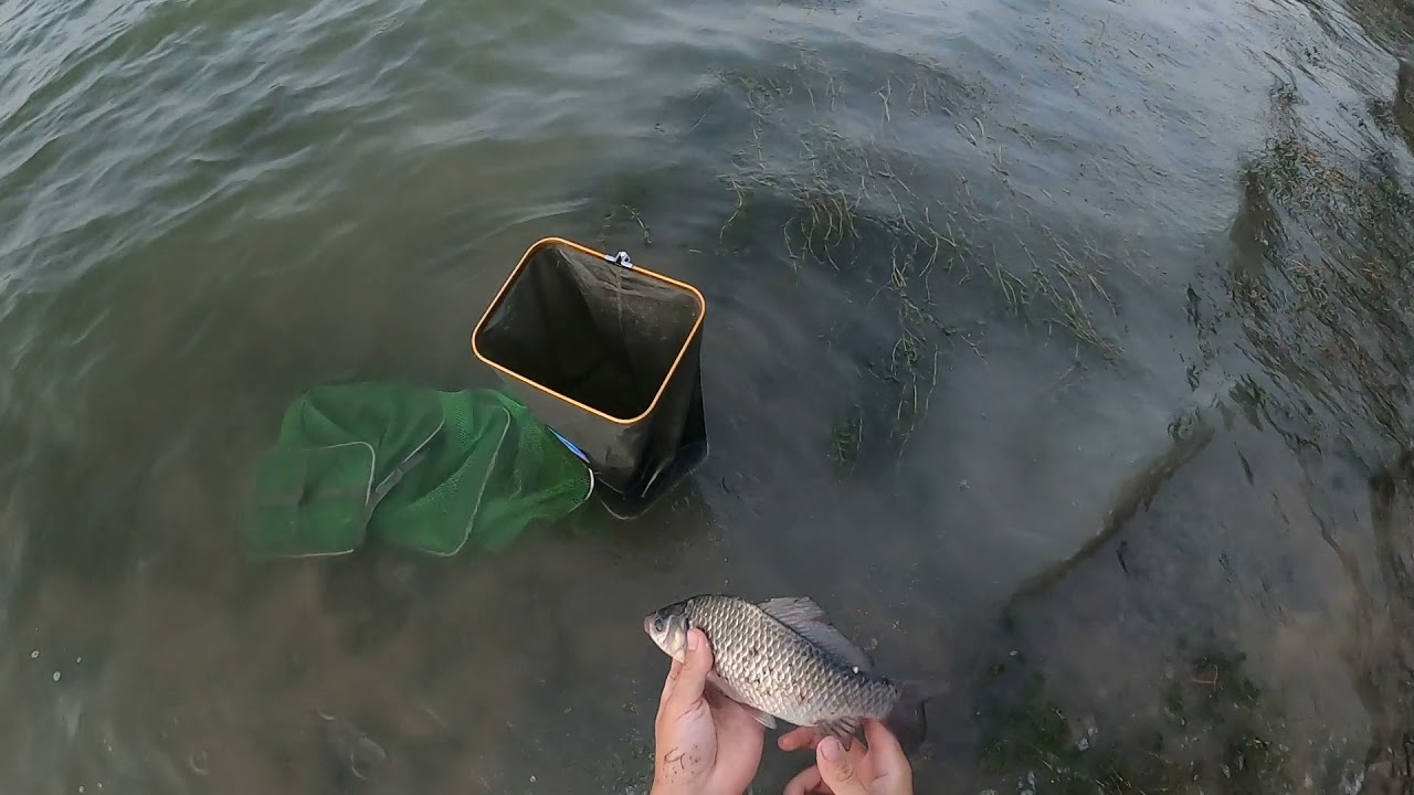 Каракуди на пружина