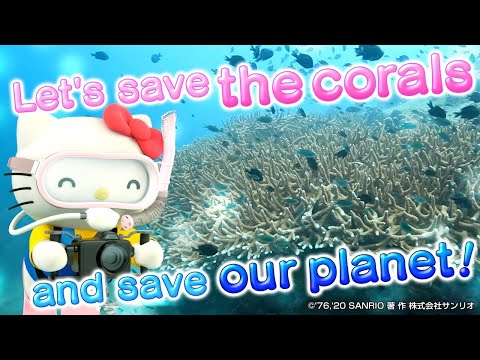 [Goal 14 of SDGs] Preserving the Bounty of the Sea in Koh Tao [Hello Kitty supports SDGs]