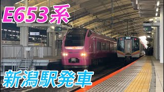 【さつまいも色】E653系 特急いなほ 新潟駅発車