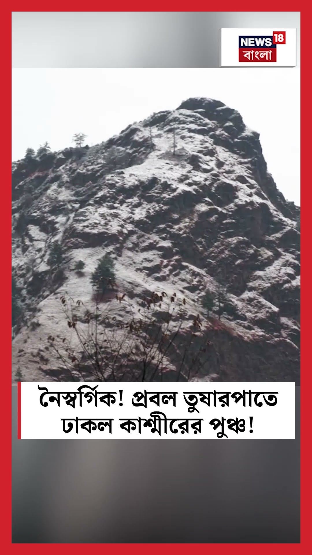 নৈস্বর্গিক! প্রবল তুষারপাতে ঢাকল Kashmir এর Poonch ! | N18S #shorts
