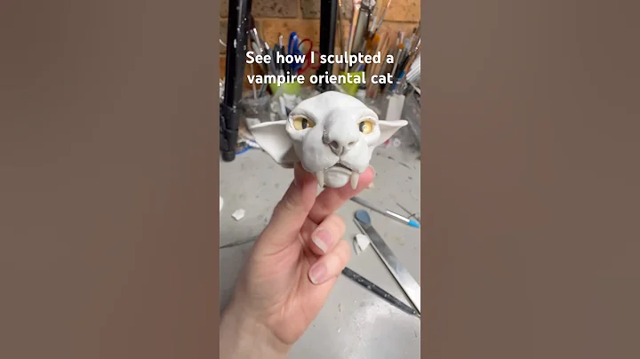 Video 11069421: oriental cats, cat doll, cat first