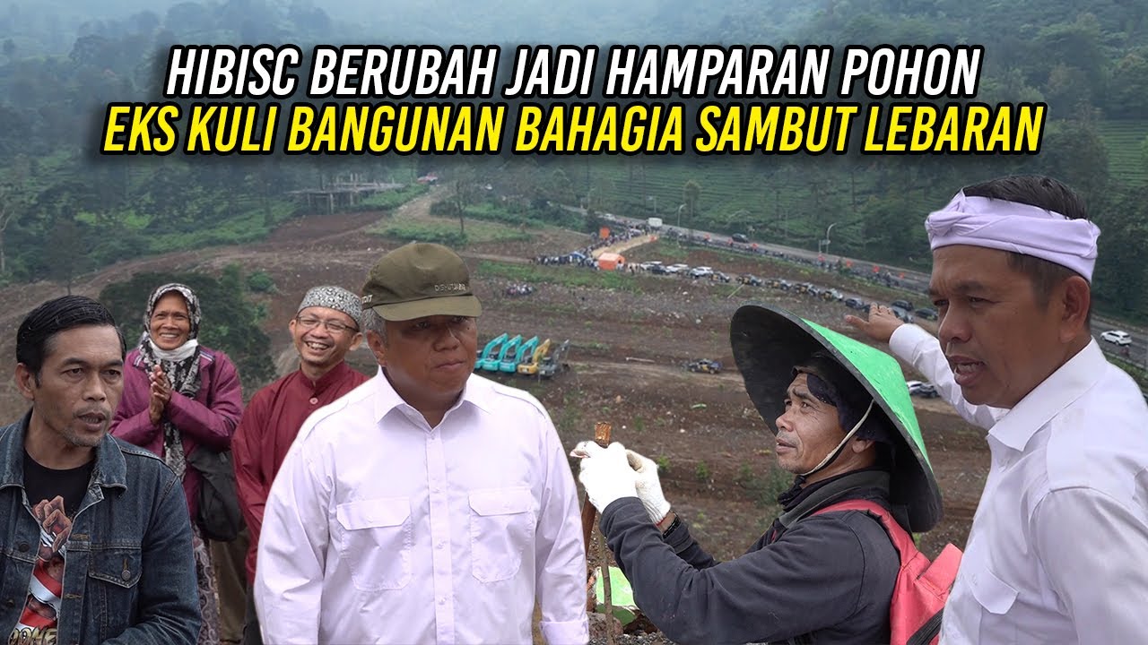 HIBISC BERUBAH JADI HAMPARAN POHON | EKS KULI BANGUNAN BAHAGIA SAMBUT LEBARAN