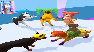 Groomer run 3D🐕👠🐩BIG UPDATE!! All Levels Walkthrough Android,ios Part-3