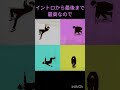 音楽紹介🎧 #マカえん #マカロニえんぴつ #恋のマジカルミステリー #音楽 #音楽好き #音楽紹介 #邦ロック