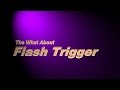 The What About Flash Triggers